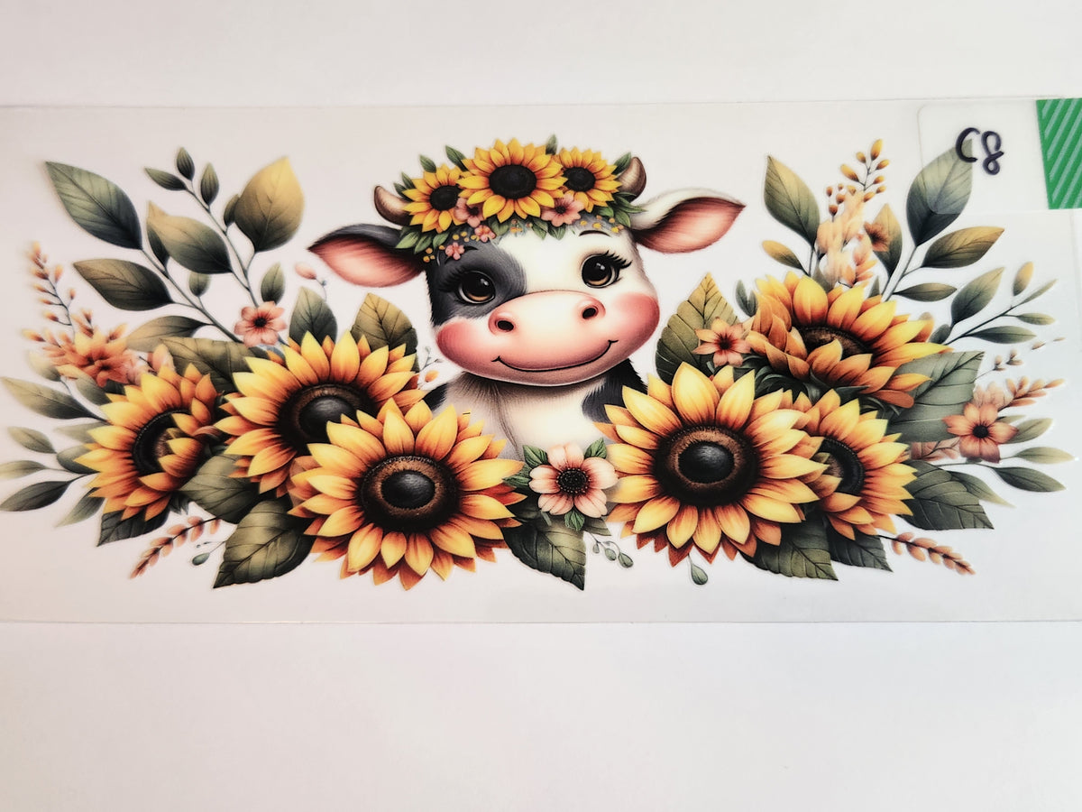 Cows