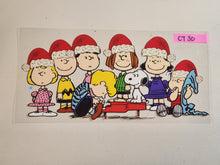 Load image into Gallery viewer, Cartoon