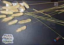 Load image into Gallery viewer, Plan. Teach. Learn