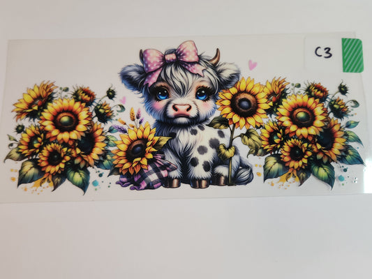 Cows